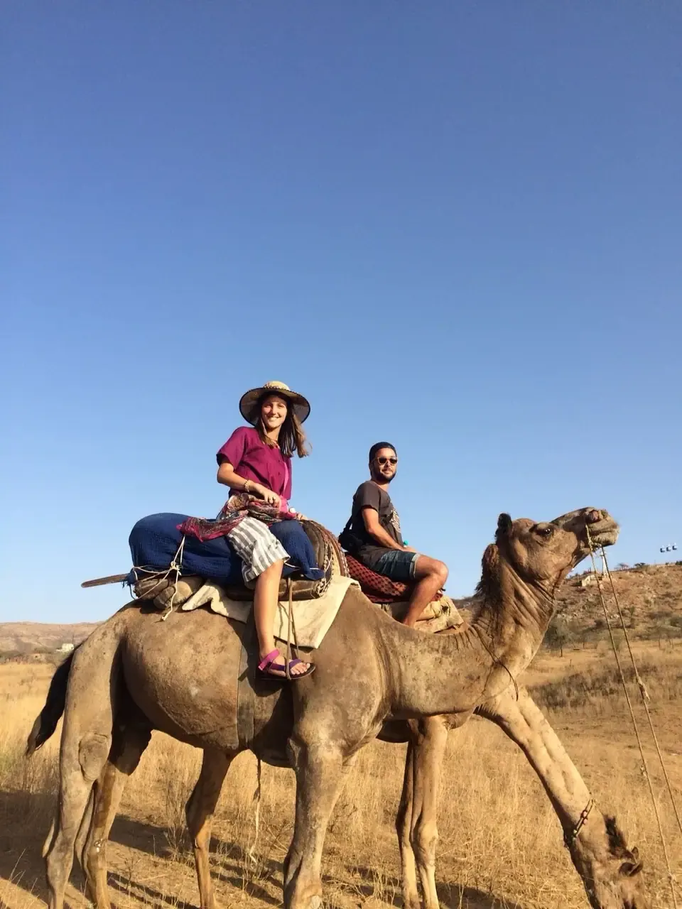 Safari en camello