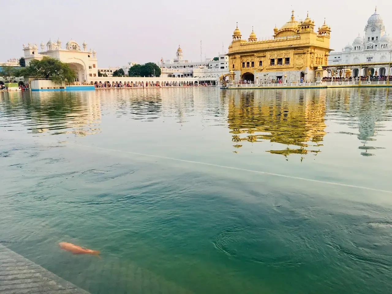 Templo Dorado, Amritsar