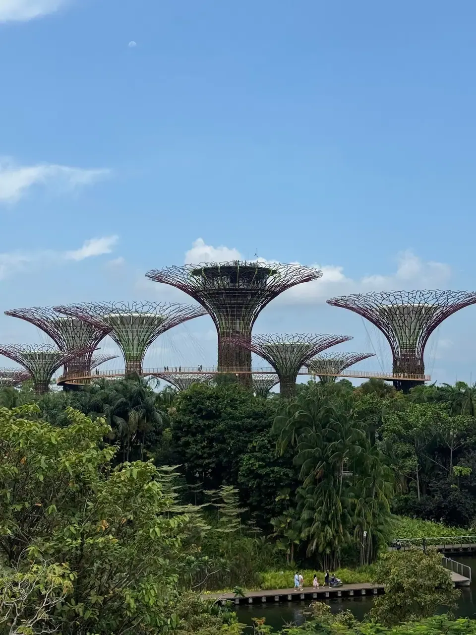Supertrees, Gardens by the Bay