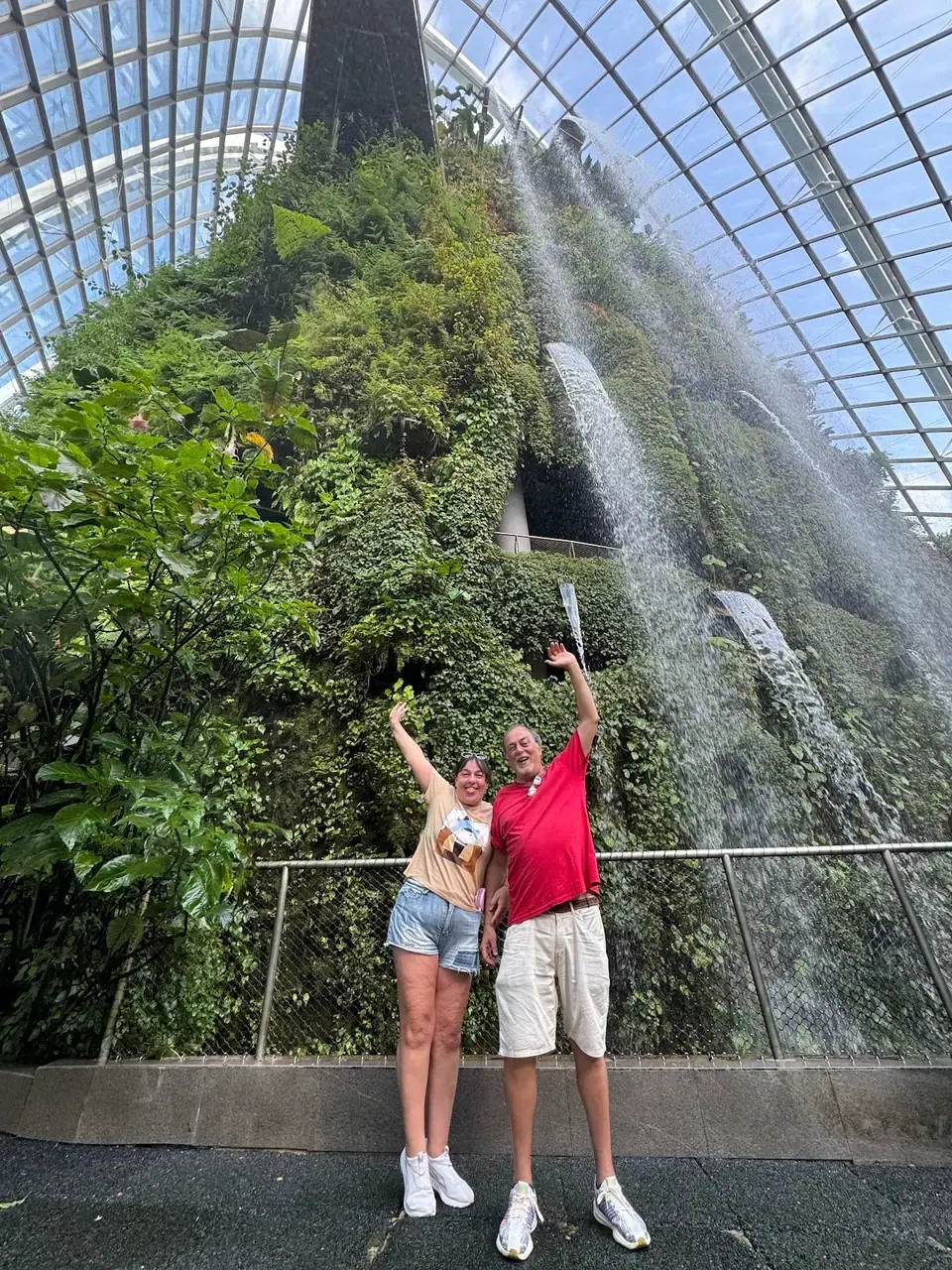 Cloud Forest