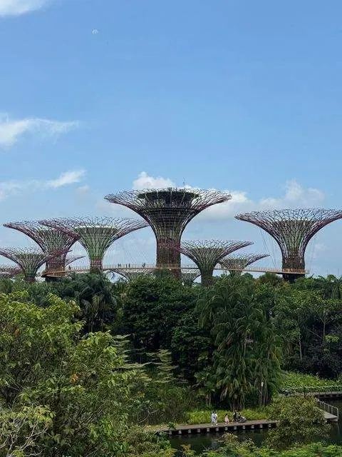 Supertrees, Gardens by the Bay, Singapur