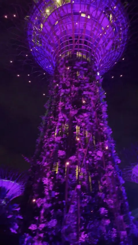 Supertree iluminado de noche, Gardens by the Bay, Singapur
