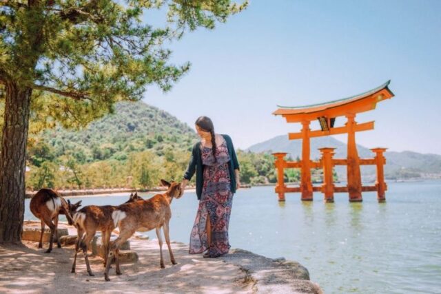 Viaje en grupo a japon